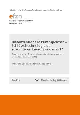 Kaiser / Busch |  Unkonventionelle Pumpspeicher – Schlüsseltechnologie der zukünftigen Energielandschaft? | eBook | Sack Fachmedien