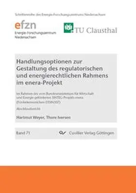 Weyer |  Handlungsoptionen zur Gestaltung des regulatorischen und energierechtlichen Rahmens im enera-Projekt | Buch |  Sack Fachmedien