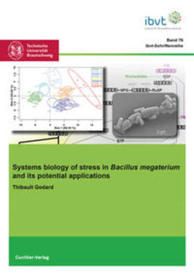Godard / Krull |  Systems biology of stress in Bacillus megaterium and its potential applications | Buch |  Sack Fachmedien