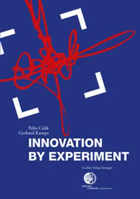 Kampe / Celik |  Innovation by Experiment | Buch |  Sack Fachmedien