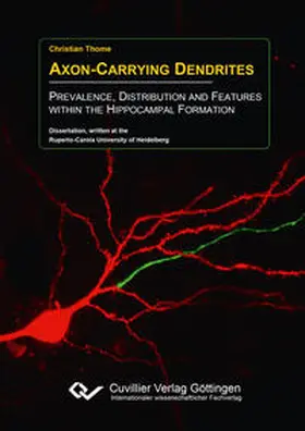 Thome |  Axon-Carrying Dendrites. Prevalence, Distribution and Features within the Hippocampal Formation | Buch |  Sack Fachmedien