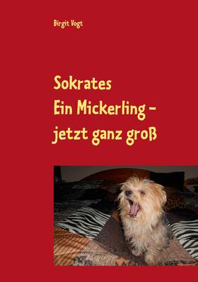 Vogt |  Sokrates  Ein Mickerling - jetzt ganz groß | eBook | Sack Fachmedien