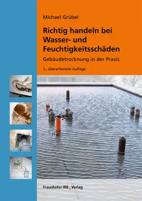 Grübel |  Richtig handeln bei Wasser- und Feuchtigkeitsschäden | Buch |  Sack Fachmedien