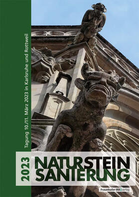 Patitz / Schinken |  Natursteinsanierung 2023. | Buch |  Sack Fachmedien