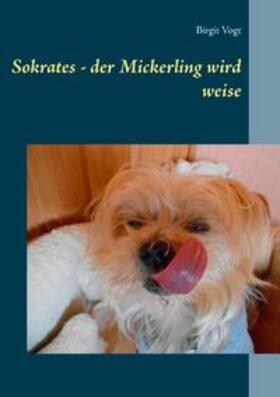 Vogt |  Sokrates - der Mickerling wird weise | Buch |  Sack Fachmedien