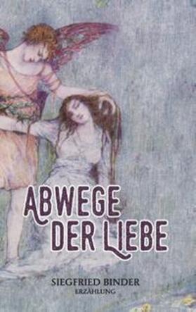 Binder |  Abwege der Liebe | Buch |  Sack Fachmedien