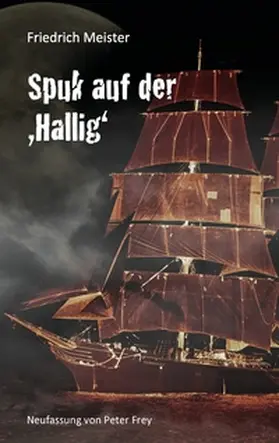 Meister |  Spuk auf der Hallig | Buch |  Sack Fachmedien