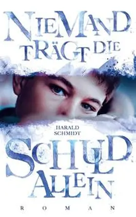 Schmidt |  Niemand trägt die Schuld allein | Buch |  Sack Fachmedien