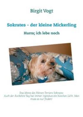 Vogt |  Sokrates - der kleine Mickerling | Buch |  Sack Fachmedien