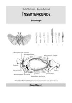 Schmidt |  Insektenkunde | Buch |  Sack Fachmedien