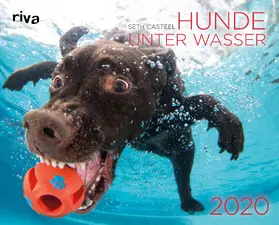 Casteel |  Hunde unter Wasser 2020 | Sonstiges |  Sack Fachmedien