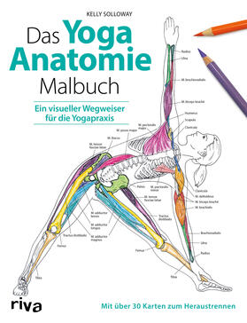 Solloway / Stutzman |  Solloway, K: Yoga-Anatomie-Malbuch | Buch |  Sack Fachmedien