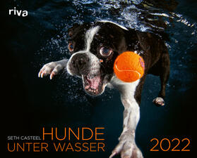 Casteel |  Casteel, S: Hunde unter Wasser 2022 | Sonstiges |  Sack Fachmedien