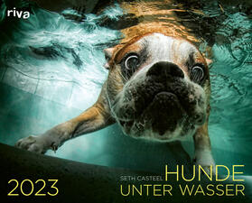 Casteel |  Casteel, S: Hunde unter Wasser 2023 | Sonstiges |  Sack Fachmedien