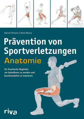 Potach / Meira |  Prävention von Sportverletzungen - Anatomie | Buch |  Sack Fachmedien