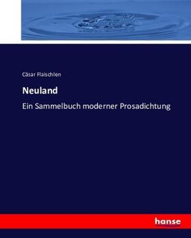 Flaischlen |  Neuland | Buch |  Sack Fachmedien