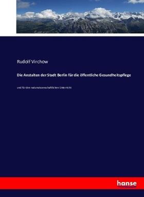 Virchow |  Die Anstalten der Stadt Berlin für die öffentliche Gesundheitspflege | Buch |  Sack Fachmedien