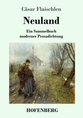 Flaischlen |  Neuland | Buch |  Sack Fachmedien