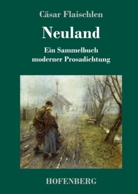 Flaischlen |  Neuland | Buch |  Sack Fachmedien