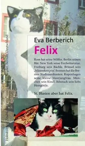 Berberich |  Felix | eBook | Sack Fachmedien