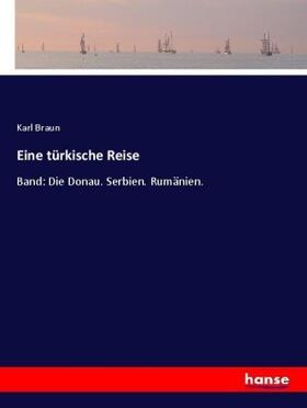 Braun |  Eine türkische Reise | Buch |  Sack Fachmedien