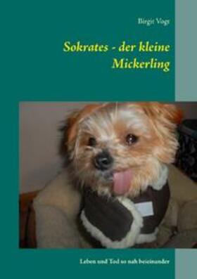 Vogt |  Sokrates - der kleine Mickerling | Buch |  Sack Fachmedien