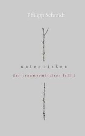 Schmidt |  Unter Birken | Buch |  Sack Fachmedien
