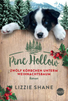 Shane |  Pine Hollow - Zwölf Körbchen unterm Weihnachtsbaum | Buch |  Sack Fachmedien