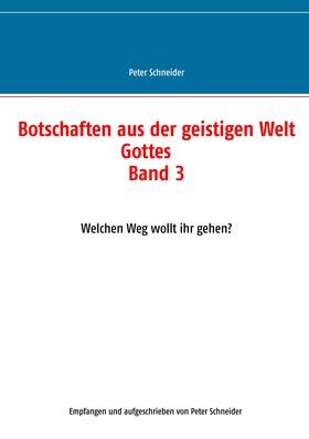 Schneider |  Botschaften aus der geistigen Welt Gottes | eBook | Sack Fachmedien