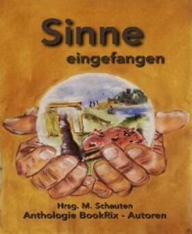 Schauten / Various |  Sinne eingefangen | eBook | Sack Fachmedien