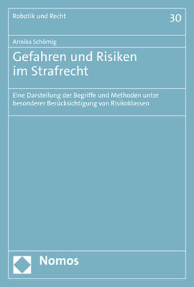 Schömig |  Gefahren und Risiken im Strafrecht | eBook | Sack Fachmedien