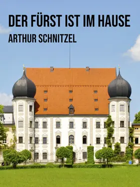 Schnitzler |  Der Fürst ist im Hause | eBook | Sack Fachmedien