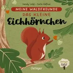 Häfner |  Meine Waldfreunde. Das kleine Eichhörnchen | Buch |  Sack Fachmedien