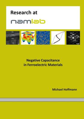 Hoffmann |  Negative Capacitance in Ferroelectric Materials | eBook | Sack Fachmedien