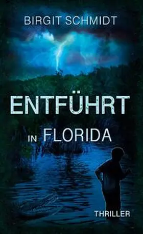 Schmidt |  Entführt in Florida | Buch |  Sack Fachmedien