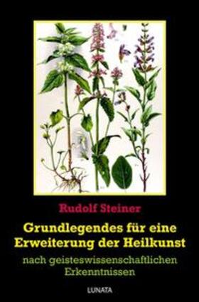 Steiner |  Grundlegendes zur Erweiterung der Heilkunst | Buch |  Sack Fachmedien