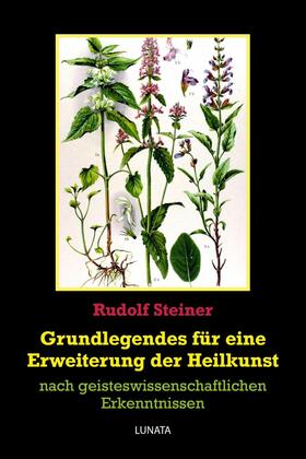 Steiner |  Grundlegendes zur Erweiterung der Heilkunst | eBook | Sack Fachmedien