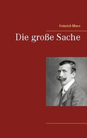 Mann | Die große Sache | Buch | 978-3-7534-0896-5 | sack.de