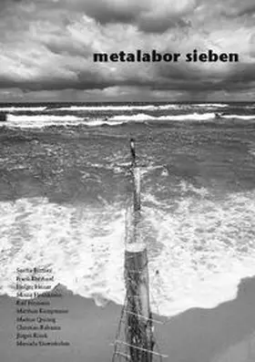 Eberhard / Büttner / Heinze | metalabor sieben | Buch | 978-3-7543-3914-5 | sack.de