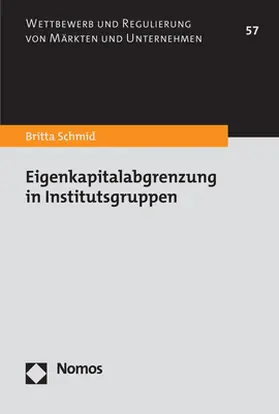 Schmid |  Eigenkapitalabgrenzung in Institutsgruppen | Buch |  Sack Fachmedien