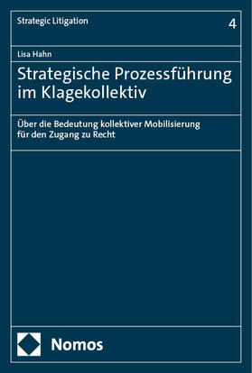 Hahn |  Strategische Prozessführung im Klagekollektiv | Buch |  Sack Fachmedien