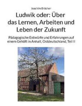 Bröcher |  Ludwik oder: Über das Lernen, Arbeiten und Leben der Zukunft | Buch |  Sack Fachmedien