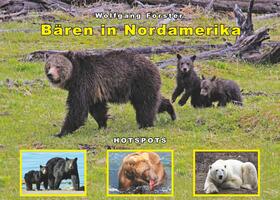 Förster |  Bären in Nordamerika | eBook | Sack Fachmedien