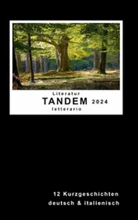 Stiftung / Heimann |  Literatur Tandem letterario 2024 | eBook | Sack Fachmedien