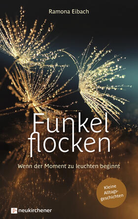 Eibach |  Funkelflocken | Buch |  Sack Fachmedien