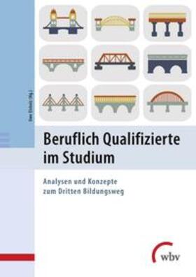 Elsholz |  Beruflich Qualifizierte im Studium | Buch |  Sack Fachmedien