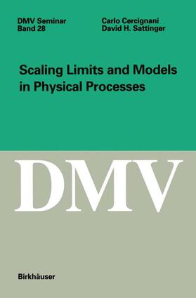 Sattinger / Cercignani |  Scaling Limits and Models in Physical Processes | Buch |  Sack Fachmedien