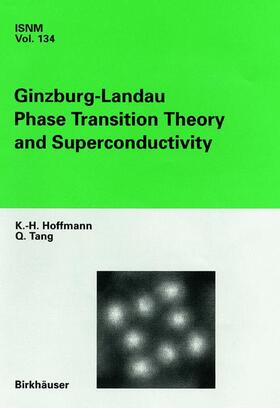 Tang / Hoffmann |  Ginzburg-Landau Phase Transition Theory and Superconductivity | Buch |  Sack Fachmedien