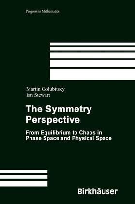 Stewart / Golubitsky |  The Symmetry Perspective | Buch |  Sack Fachmedien