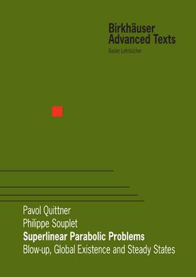 Quittner / Souplet |  Superlinear Parabolic Problems | eBook | Sack Fachmedien